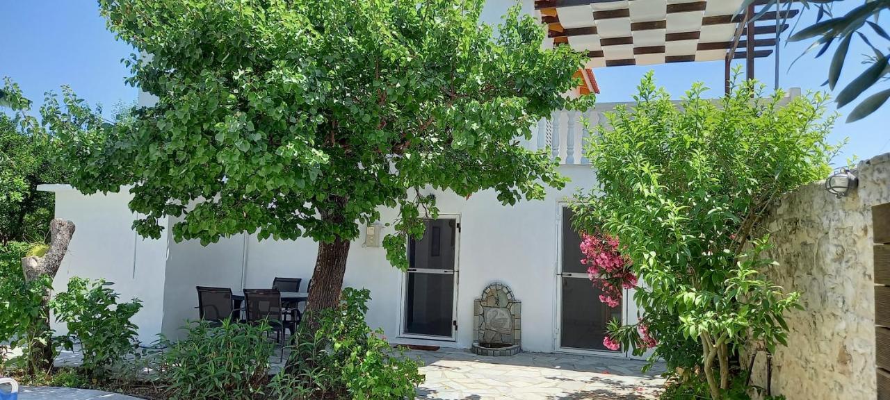 Villa Beloussi Zakynthos Kypseli Exteriér fotografie